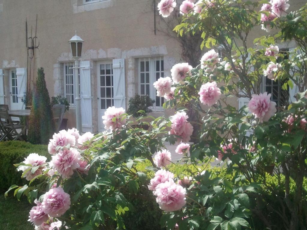 Guest House Le Clos Pasquier Blois Ngoại thất bức ảnh